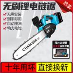 Picture of Chainsaw cordless rechargeable